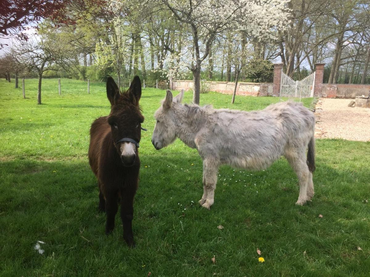 Le Rucher Bois-Normand-près-Lyre Exteriör bild