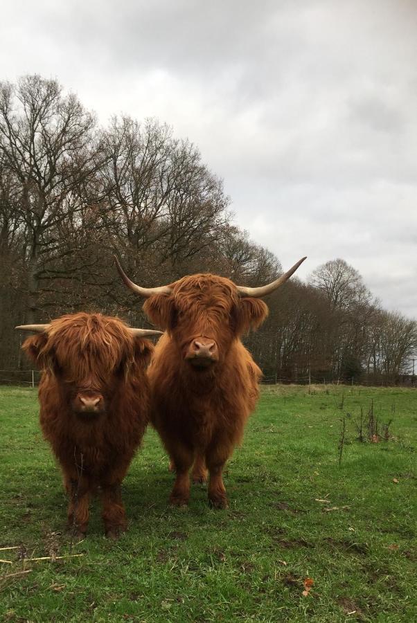 Le Rucher Bois-Normand-près-Lyre Exteriör bild
