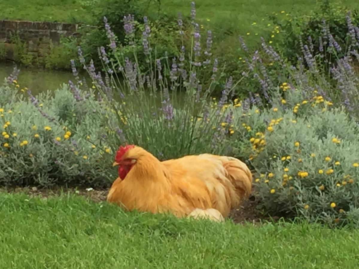 Le Rucher Bois-Normand-près-Lyre Exteriör bild