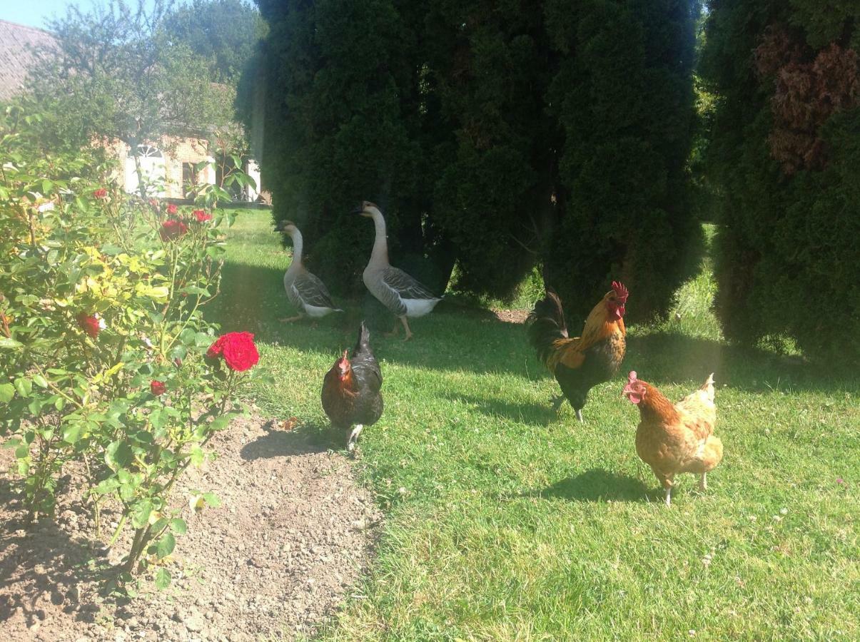 Le Rucher Bois-Normand-près-Lyre Exteriör bild